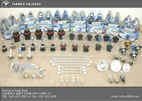 Xeon White Bulbs  Made in Korea